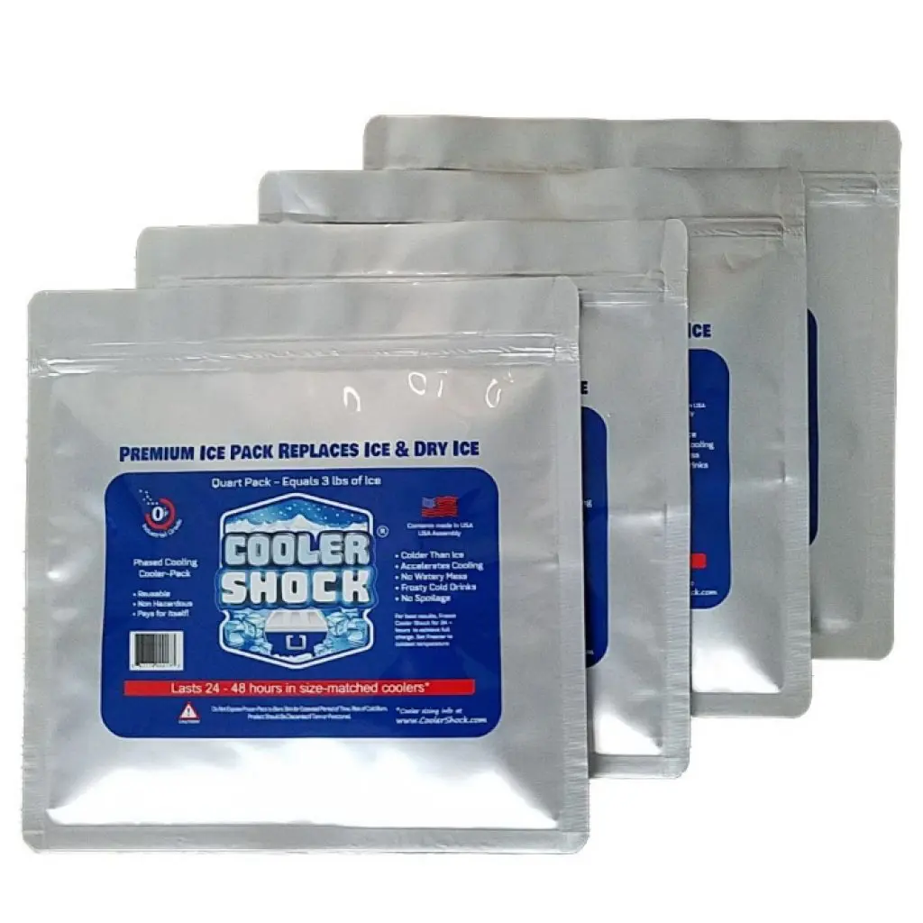 Best Ice Packs for Lunches